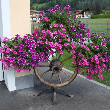 Haus Schnepfleitner Apartment Dorfgastein Exterior foto